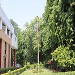 imagei-2