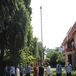 imagei-1